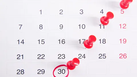 날짜에 핀을 꽂고 기한을 표시한 달력